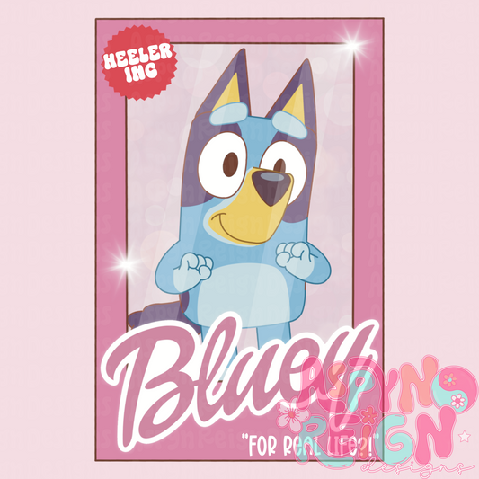 Blue Heeler Doll | PNG